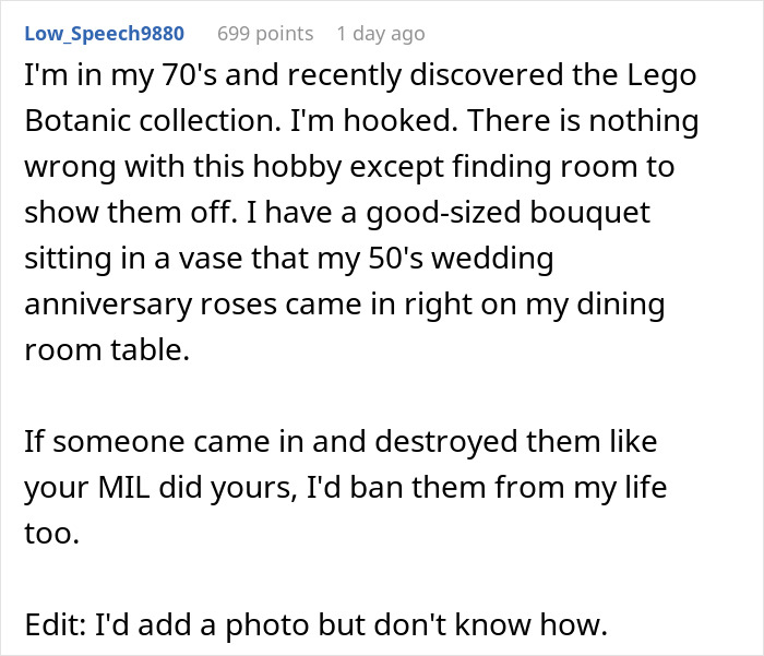 &ldquo;Be A Real Man&rdquo;: MIL Wrecks Man&rsquo;s Lego Set To Prove A Point, Gets Herself Banned From The Home