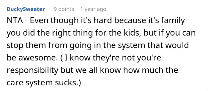 Comment from user DuckySweater discussing family neglect and child care system concerns related to neglectful mom and authorities intervention.