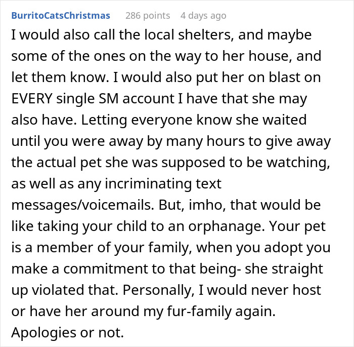 Comment discussing fallout after MIL secretly rehomes dog while couple&rsquo;s on honeymoon, mentioning police report and social media actions.