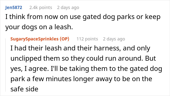Comments discussing dog safety at parks after a dog almost gets stolen by kids and owners warn about leash use.