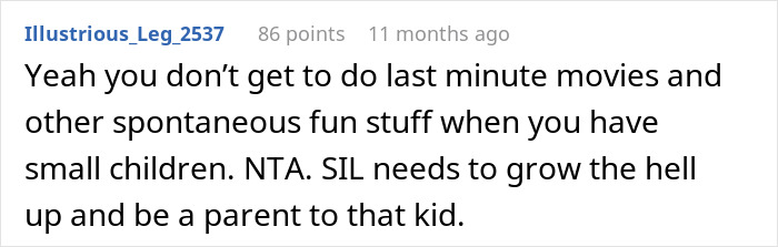 Comment discussing SIL&rsquo;s irresponsible parenting affecting family dynamics and causing prolonged drama and tensions.