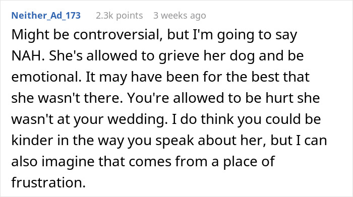 Screenshot of a Reddit comment discussing maid of honor missing sister&rsquo;s wedding after losing dog and wedding frustrations.