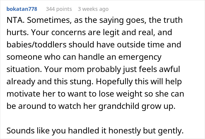 Comment discussing concerns about obese mom babysitting newborn and addressing fat shaming in family care debate.