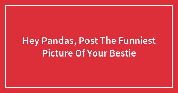Hey Pandas, Post The Funniest Picture Of Your Bestie (Closed)