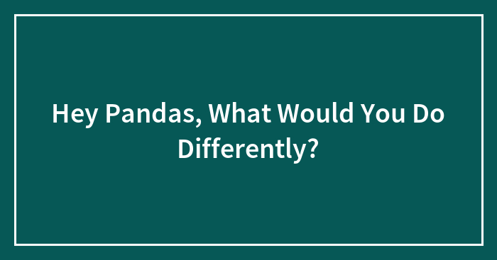 Hey Pandas, What Would You Do Differently?