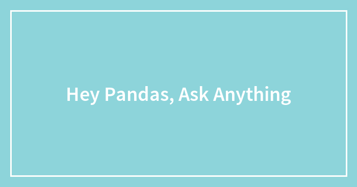 Hey Pandas, Ask Anything
