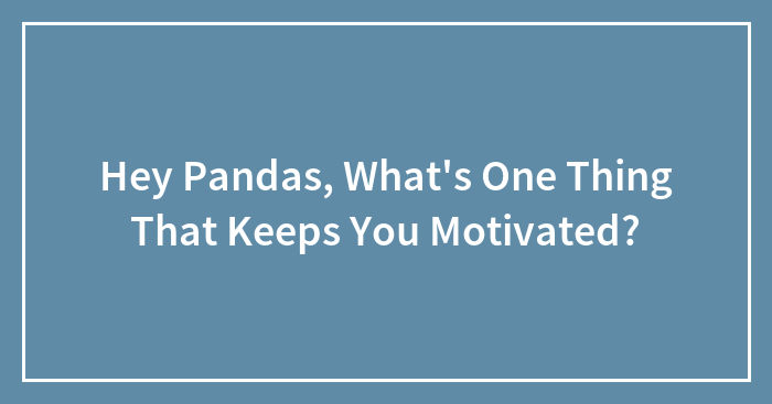 Hey Pandas, What’s One Thing That Keeps You Motivated?