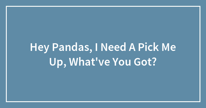 Hey Pandas, I Need A Pick Me Up, What’ve You Got? (Closed)