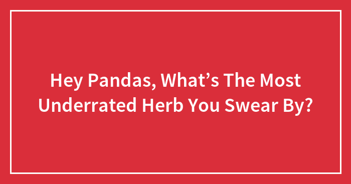 Hey Pandas, What’s The Most Underrated Herb You Swear By? (Closed)