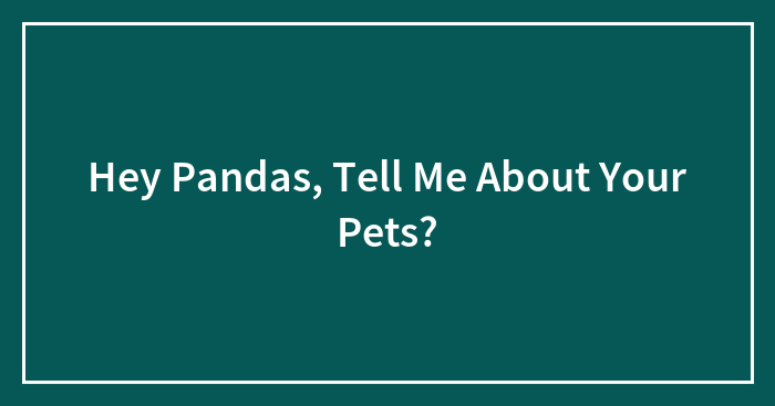 Hey Pandas, Tell Me About Your Pets? (Closed)