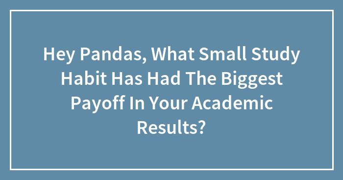 Hey Pandas, What Small Study Habit Has Had The Biggest Payoff In Your Academic Results? (Closed)