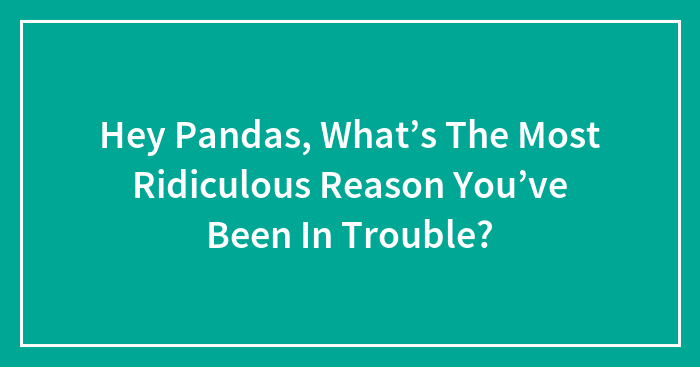 Hey Pandas, What’s The Most Ridiculous Reason You’ve Been In Trouble? (Closed)