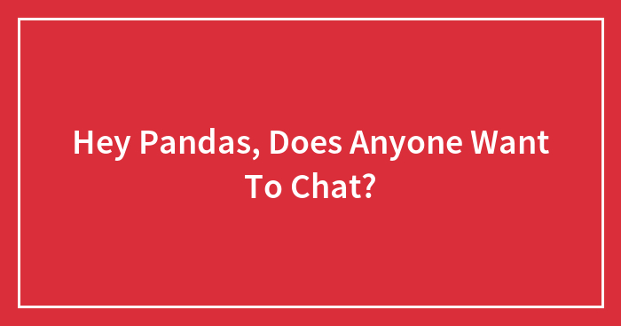 Hey Pandas, Does Anyone Want To Chat? (Closed)