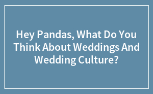 Hey Pandas, What Do You Think About Weddings And Wedding Culture?