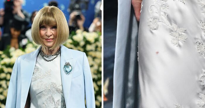 “Someone Is Getting Fired”: Anna Wintour’s Met Gala Dress Stain Sparks Wild Gossip