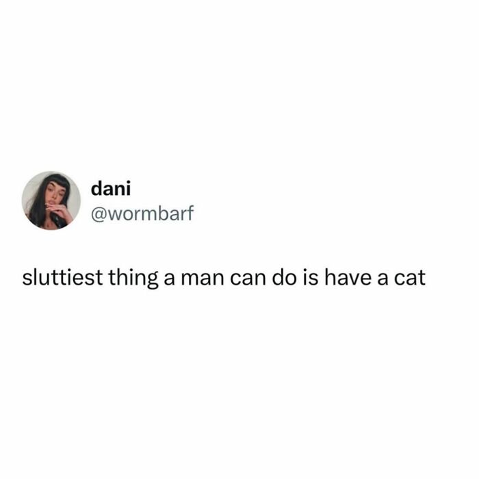 Tweet about relationships and cats representing a painfully relatable meme on women struggles shared by user dani.