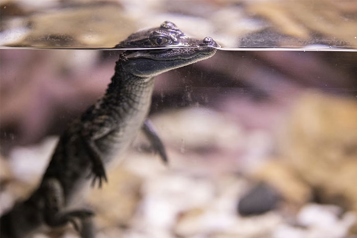 30 Weird And Shocking Things Workers Saw While Entering People’s Homes For Their Job