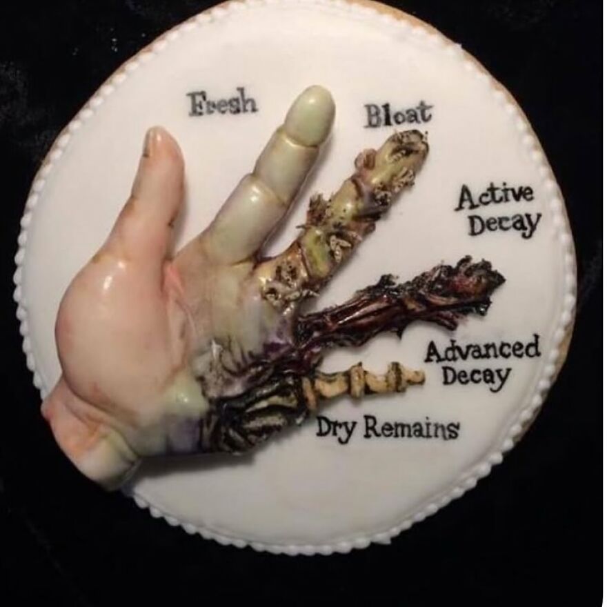 Model of a decaying human hand showing stages from fresh to dry remains, illustrating bizarre medical pics and anatomy.