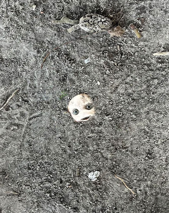 Partial doll head with creepy eyes buried in dirt surrounded by natural debris, creepy find shared by people online.