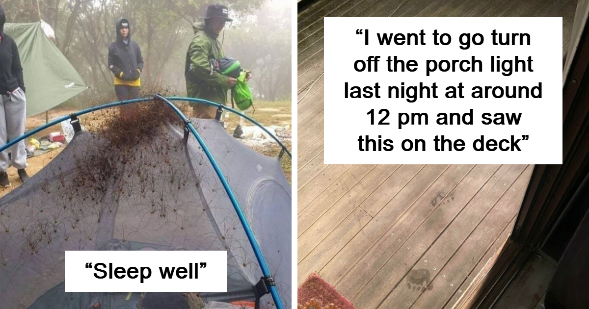 Creepy Encounters: 47 Moments That Left People Speechless