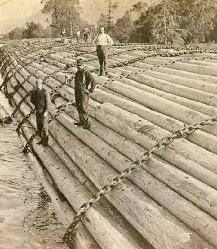 Men standing on a massive chained log raft on a river, showing unusual and wonderful things that actually happened.