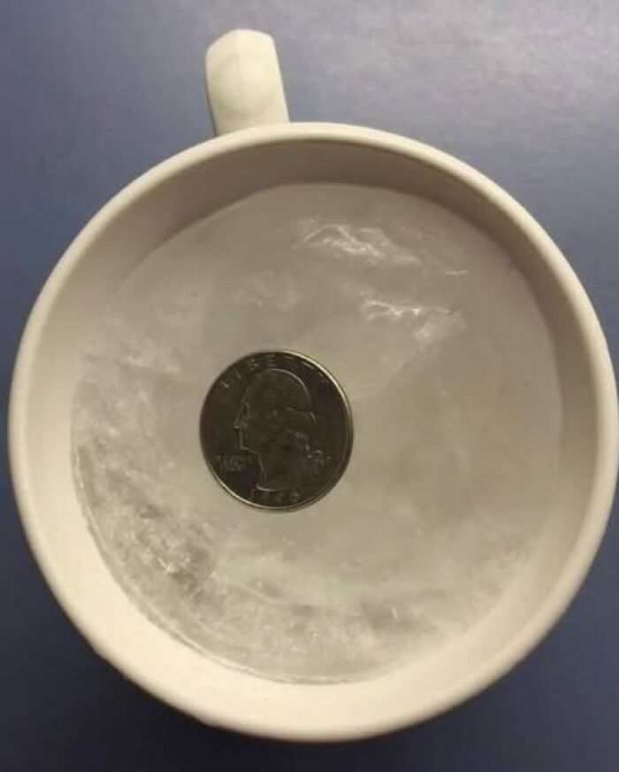 White cup filled with ice and a quarter coin frozen inside, illustrating unusual and wonderful facts that actually happened.