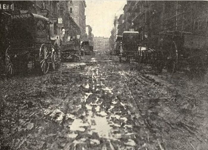 Muddy urban street with horse-drawn carriages illustrating unusual and tragic historical events.