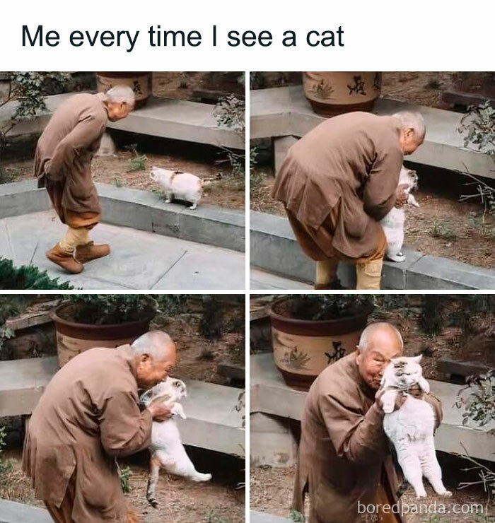 Elderly man warmly interacting with a cat, capturing adorable animals that may bring instant smiles.