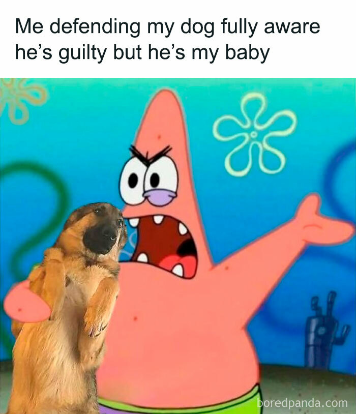 Patrick Star from SpongeBob holding a guilty dog, representing adorable animals that may bring instant smiles.