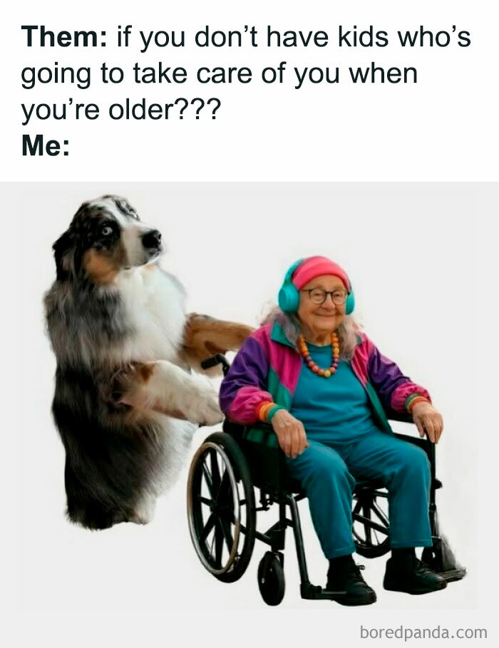 Elderly woman in wheelchair pushed by large dog, showing adorable animals that may bring instant smiles and joy.