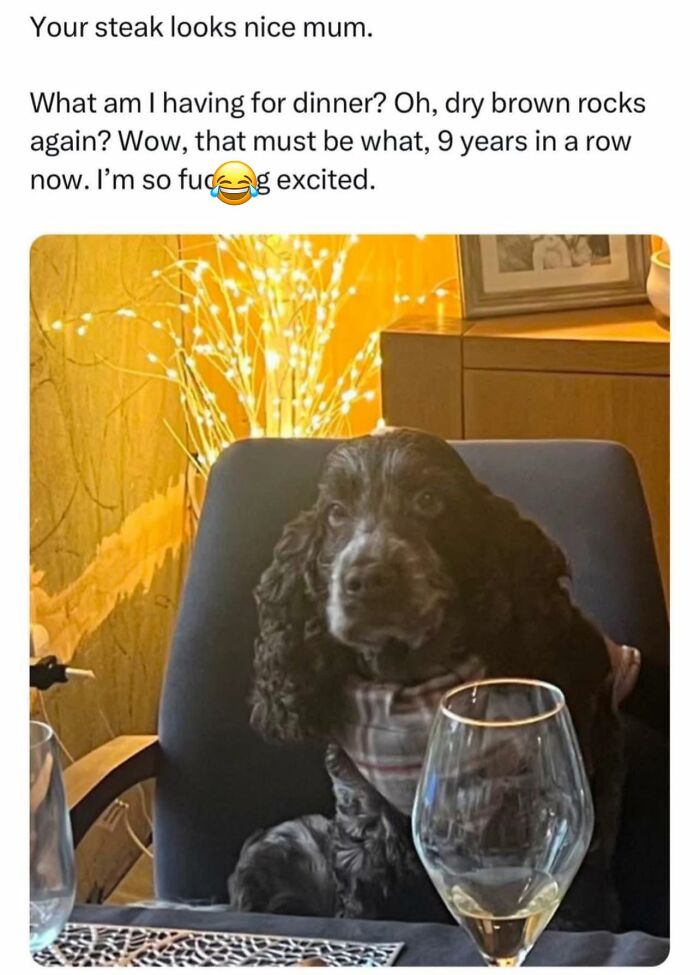 A black dog sitting at a dining table with a glass of white wine, capturing adorable animals bringing smiles.