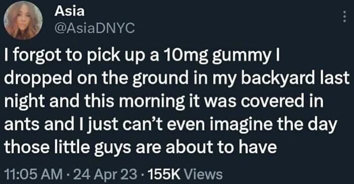 Text post sharing a humorous story about ants and adorable animals that may bring you instant smiles.