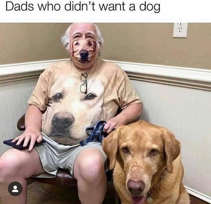 Older man wearing a dog-themed shirt and mask sitting next to a golden retriever, showcasing adorable animals that bring smiles.