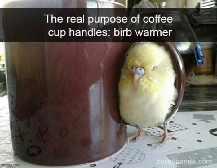 Cute yellow bird nestled in a coffee cup handle, one of the adorable animals sure to bring you instant smiles.