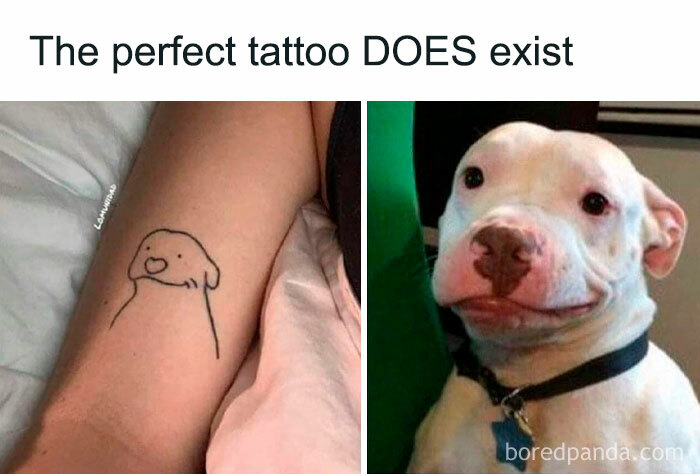 Minimalist dog tattoo on arm beside smiling dog photo, showcasing adorable animals that bring instant smiles.