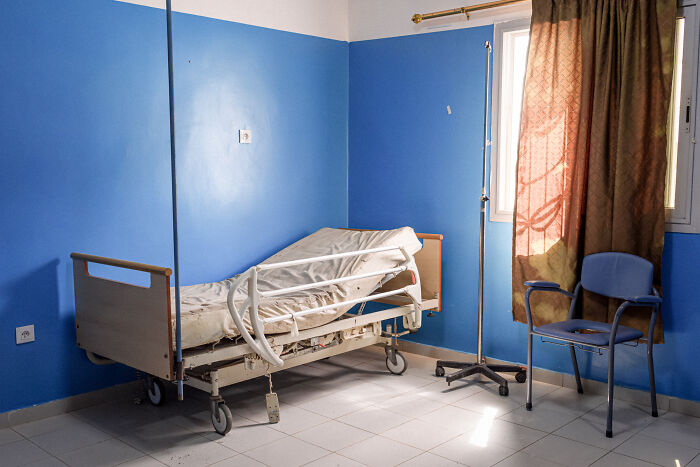 "The Ladies Of The Camellias" By Isabella Franceschini