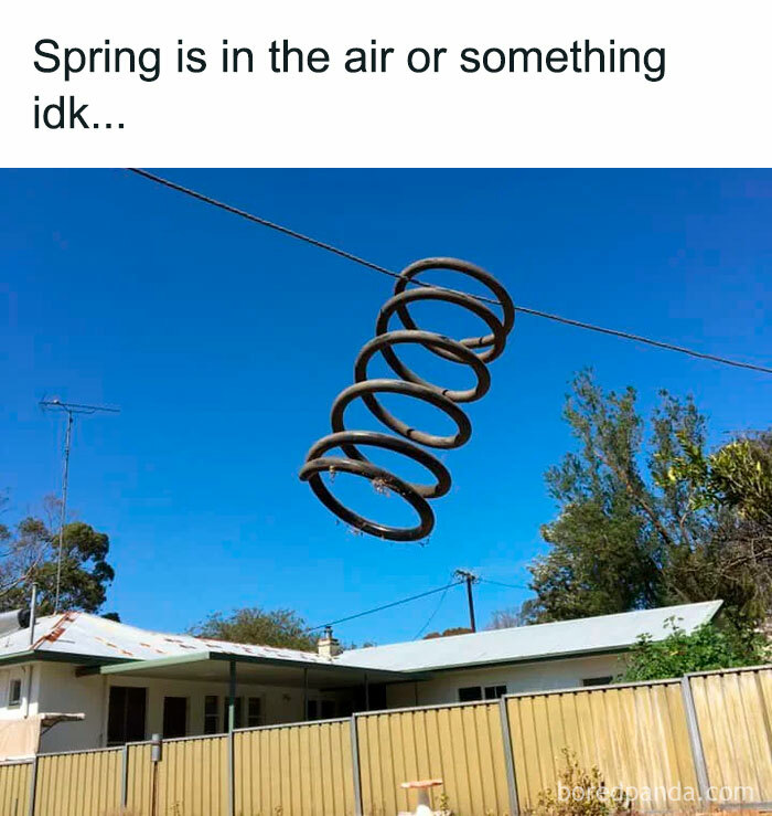 Large metal spring hanging on power line above suburban backyard, illustrating peak dad humor in silly jokes and memes.