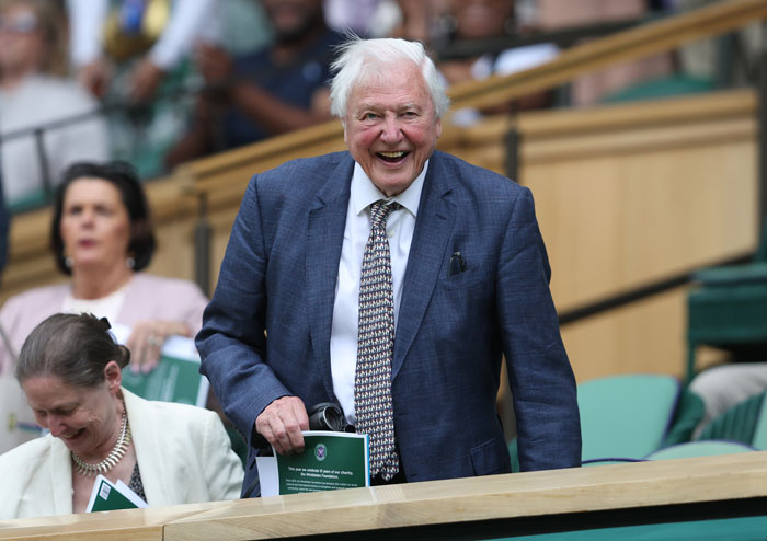 David Attenborough smiling at an outdoor event, wearing a blue suit and patterned tie, highlighting fish and cheese diet. David Attenborough smiling at an outdoor event, wearing a blue suit and patterned tie, highlighting fish and cheese diet.