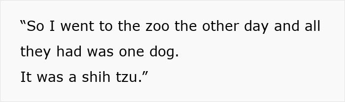 Text excerpt of a joke displayed on screen about visiting a zoo with one dog, related to Google AI realistic videos.