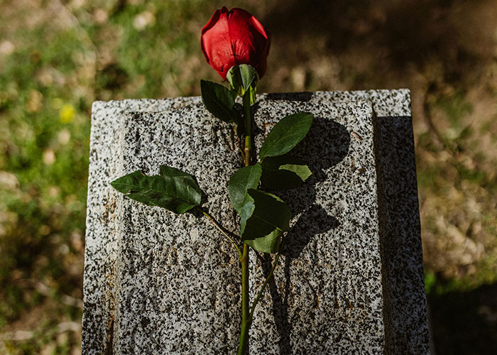 Granite tombstone with a single red rose placed on top, symbolizing dark family secrets revealed in adulthood.