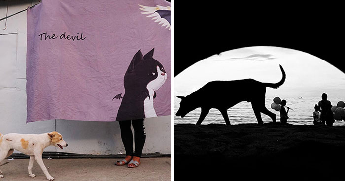 38 Candid Dog Moments Captured By This Street Photographer