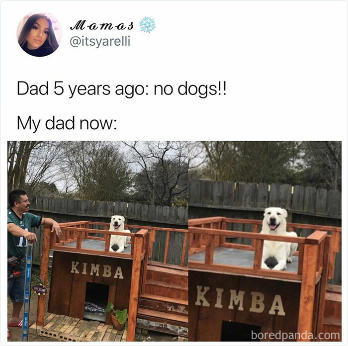 Man smiling next to a custom wooden dog house for Kimba, showing funny and wholesome dog memes that melt hearts.