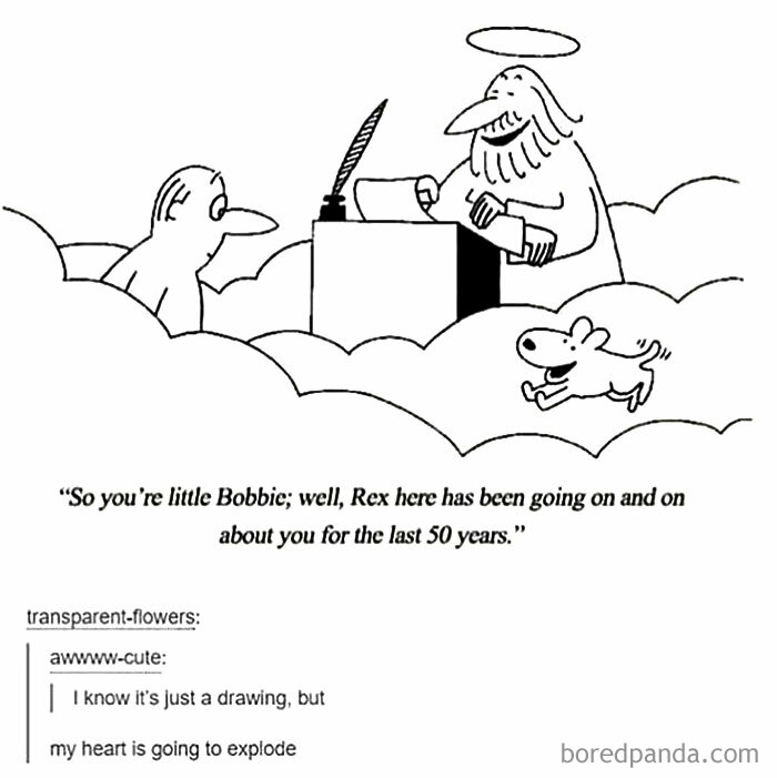 Cartoon dog happily talking in heaven, highlighting funny and wholesome dog memes that warm hearts.