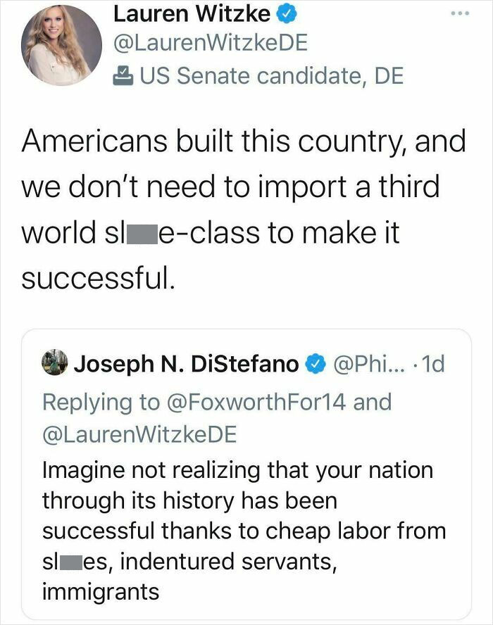 Screenshot of a controversial tweet highlighting American ignorance about the nation's history and labor contributions.