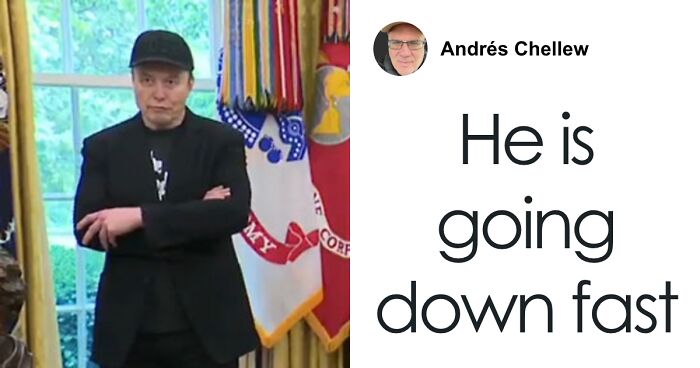 “Going Down Fast”: Elon Musk’s Black Eye And Twitchy Head At White House Stir Speculation