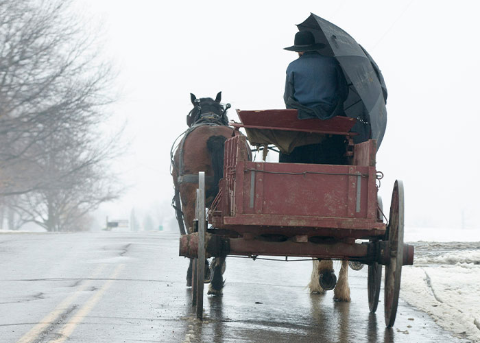 Horse-drawn carriage on a wet road with a person shielding from rain, reflecting public moments parents wish to disappear.