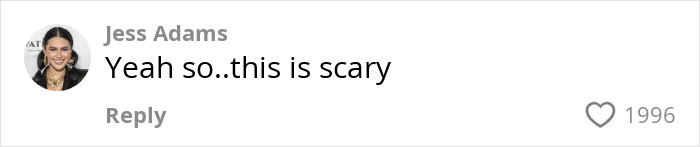 Comment by user Jess Adams expressing concern about companies using AI to conduct job interviews and its impact on applicants.