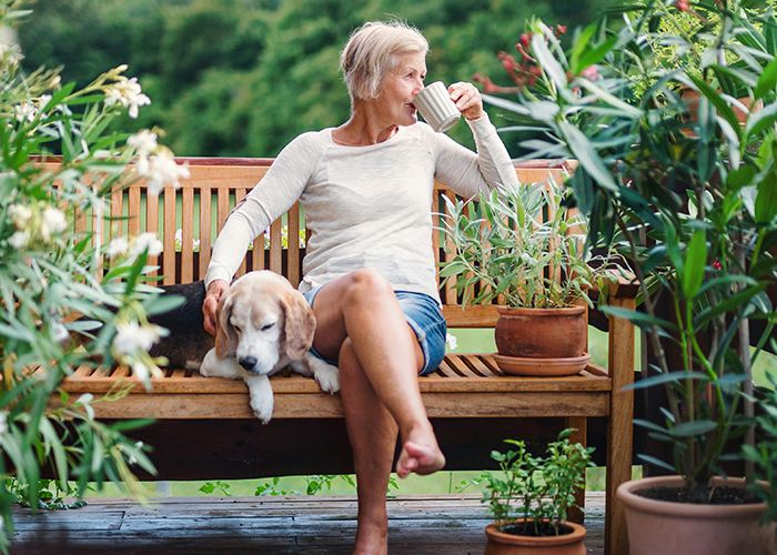 Woman relaxing on a wooden bench with her dog in a garden, symbolizing regret of finger-snapping Karen treating engineer like a servant.