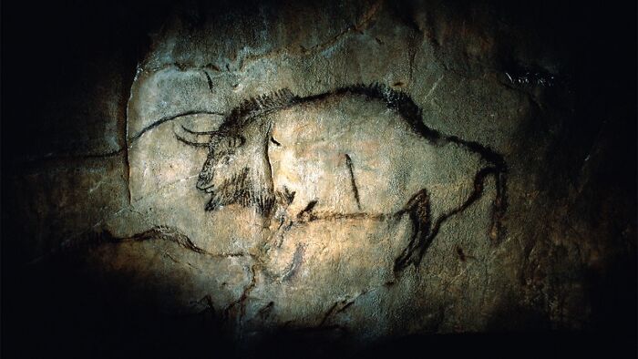 Ancient cave painting of a bison illuminated in darkness, showcasing an important archeological discovery.