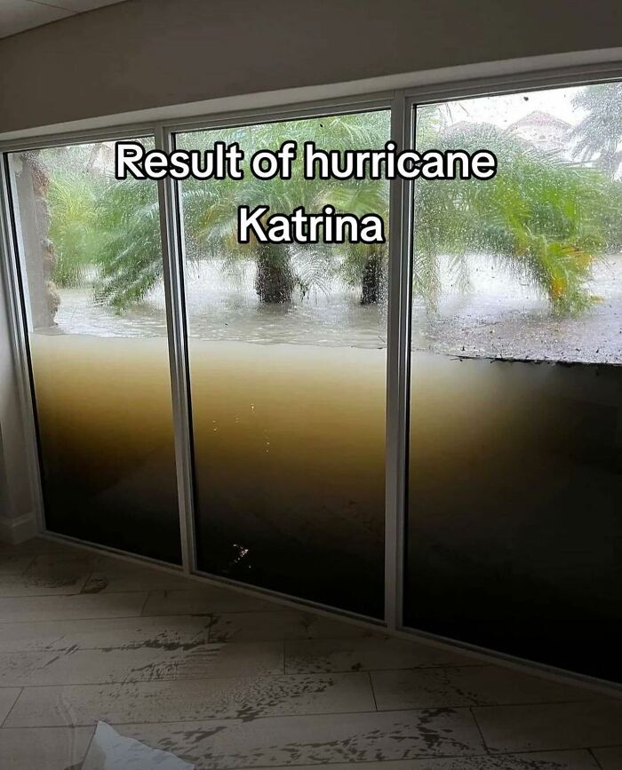 Flooded interior view through large windows showing the impact of hurricane with muddy water and palm trees outside.